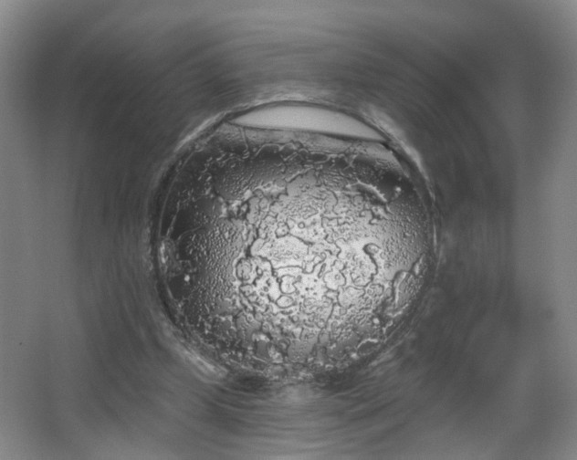 X0000064720249200602101131