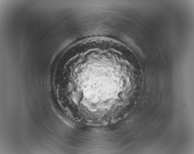 X0000064720250200602101131