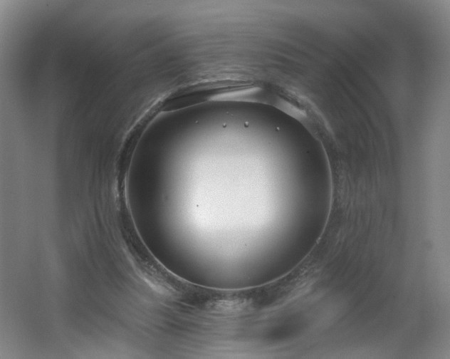 X0000064720251200602101131