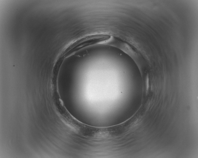 X0000064720252200602101131