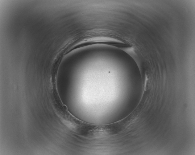 X0000064720254200602101131