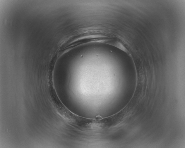 X0000064720255200602101131