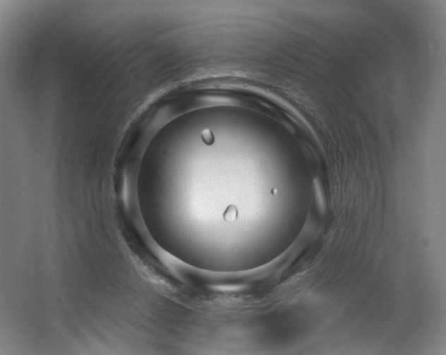 X0000064720256200602101131