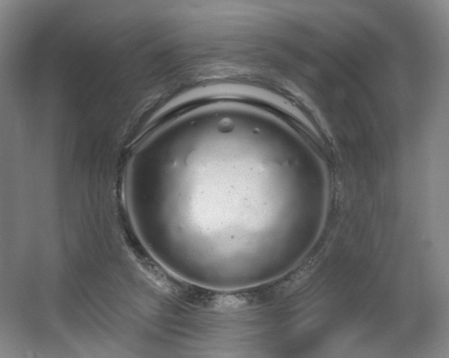 X0000064720257200602101131