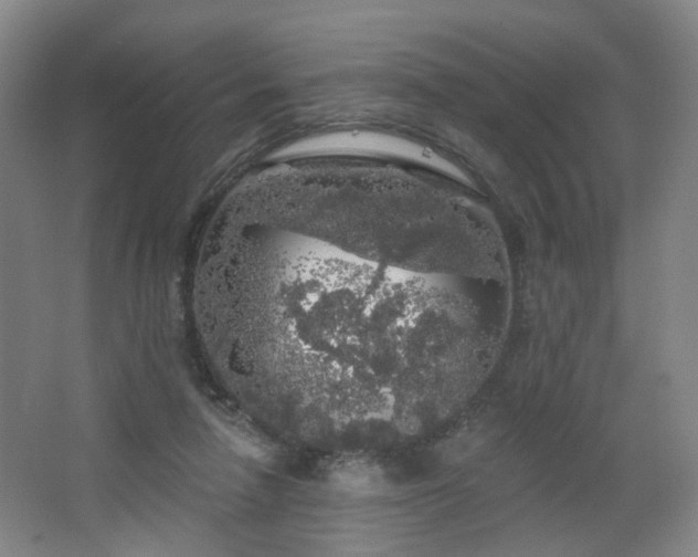 X0000064720258200602101131