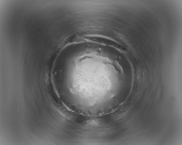 X0000064720259200602101131