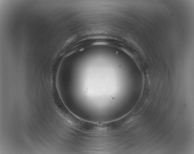 X0000064720260200602101131