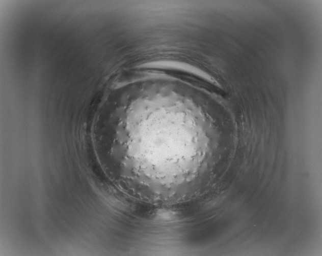 X0000064720263200602101131