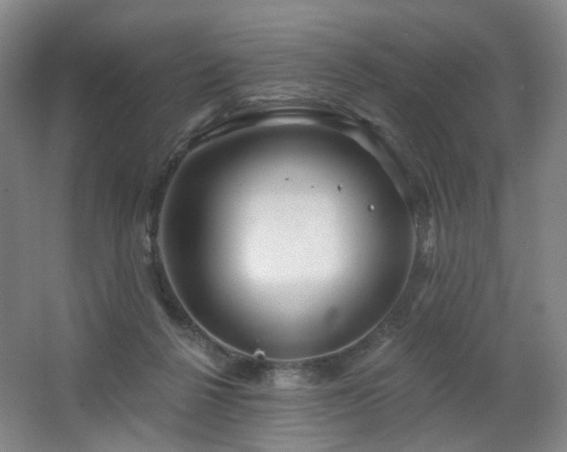 X0000064720264200602101131