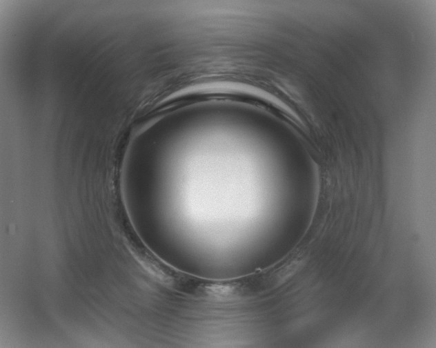 X0000064720265200602101131