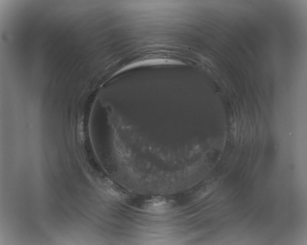 X0000064720267200602101131