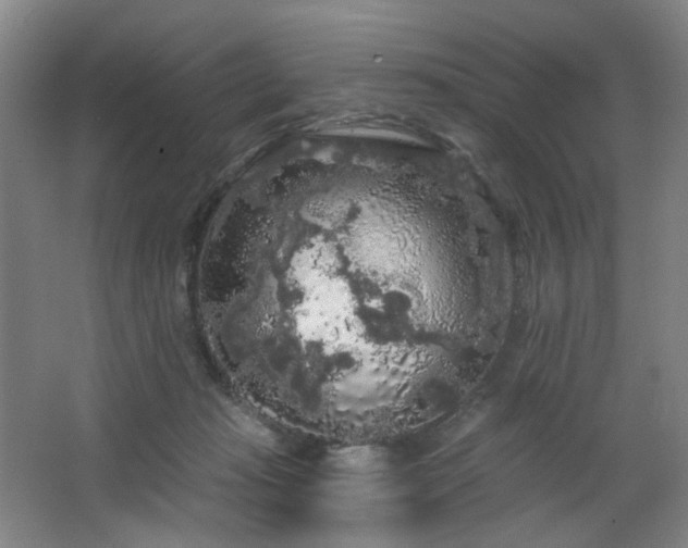 X0000064720269200602101131