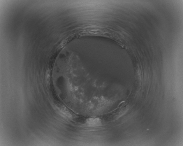 X0000064720271200602101131