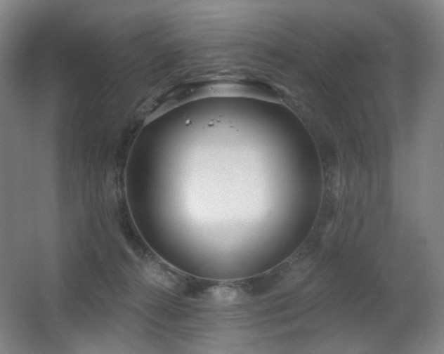 X0000064720272200602101132