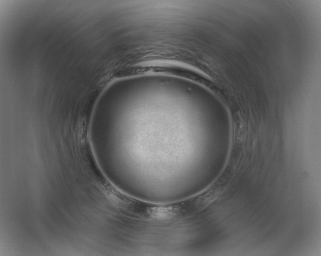 X0000064720273200602101132