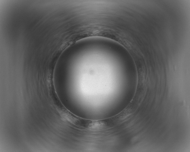 X0000064720274200602101132