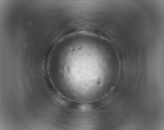 X0000064720275200602101132