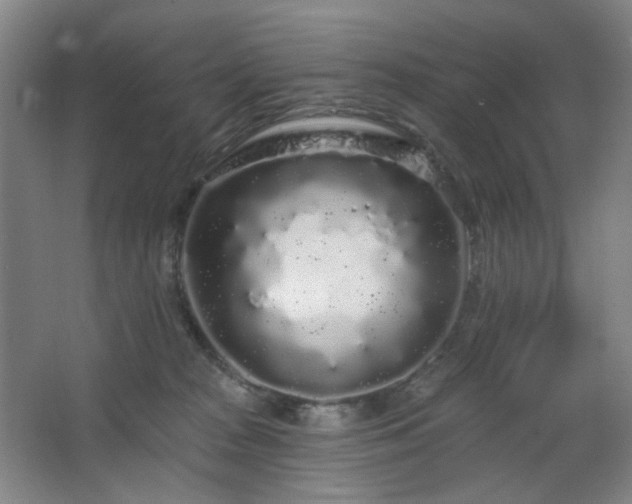 X0000064720277200602101132