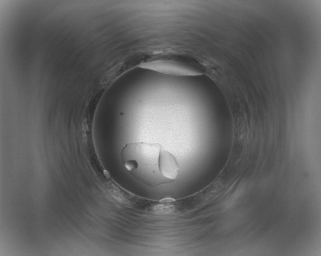 X0000064720279200602101132