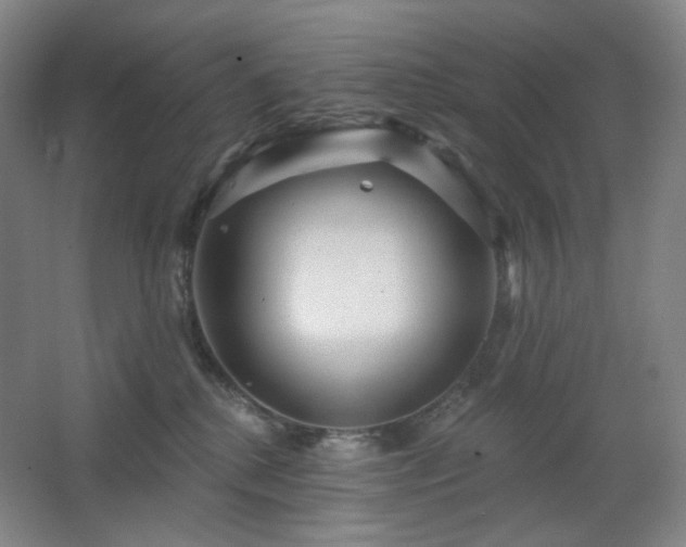 X0000064720280200602101132