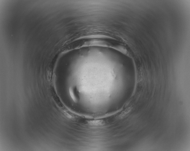 X0000064720281200602101132