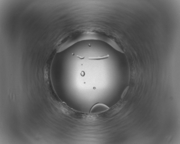 X0000064720282200602101132