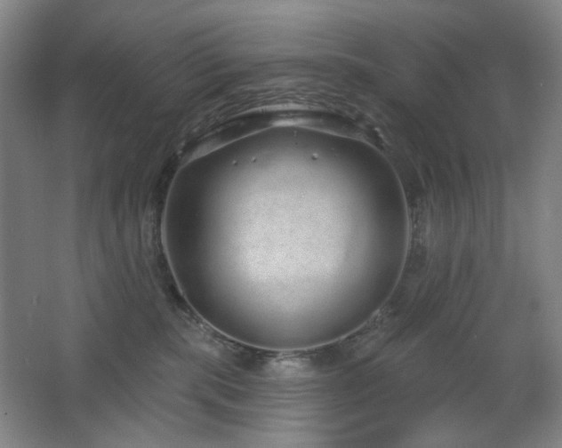 X0000064720283200602101132