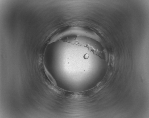 X0000064720284200602101132