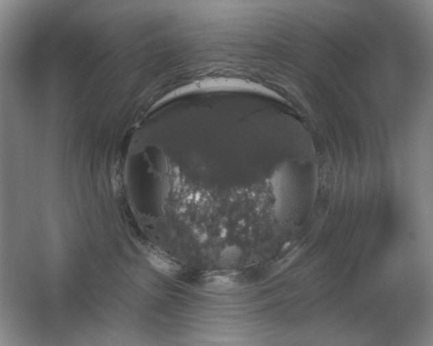 X0000064720285200602101132