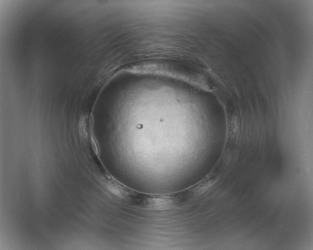 X0000064720286200602101132