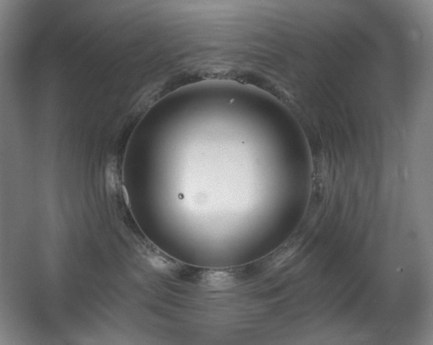 X0000064720287200602101132