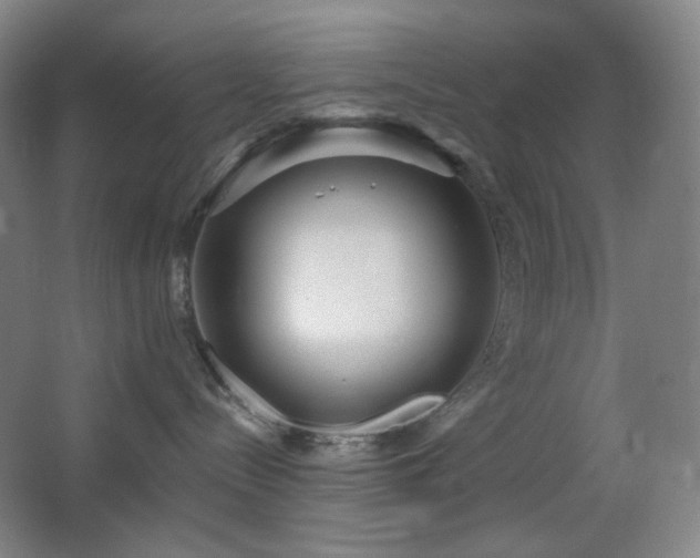 X0000064720288200602101132