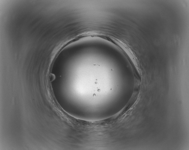 X0000064720289200602101131