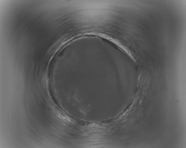 X0000064720290200602101131