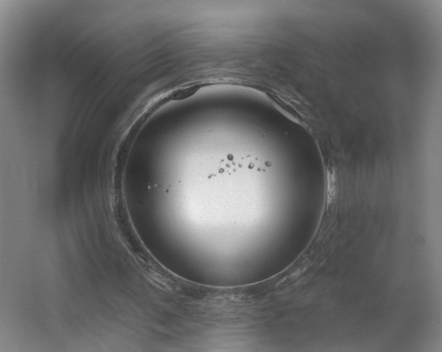 X0000064720291200602101131