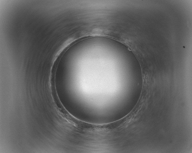 X0000064720292200602101131