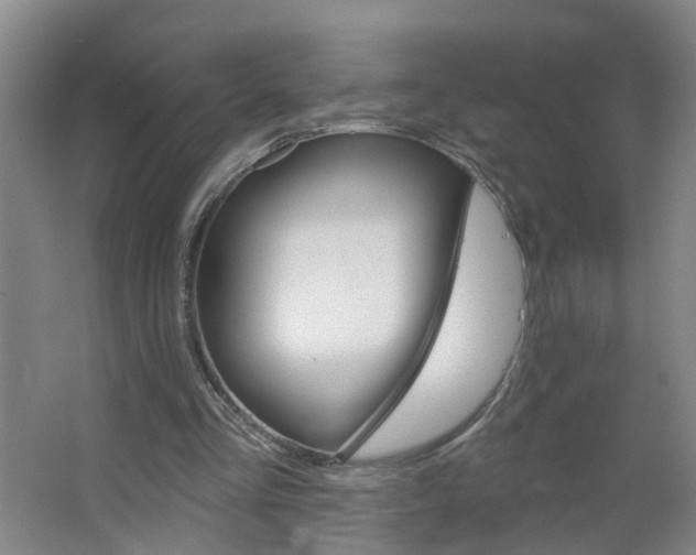 X0000064720293200602101131