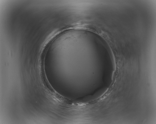 X0000064720295200602101131