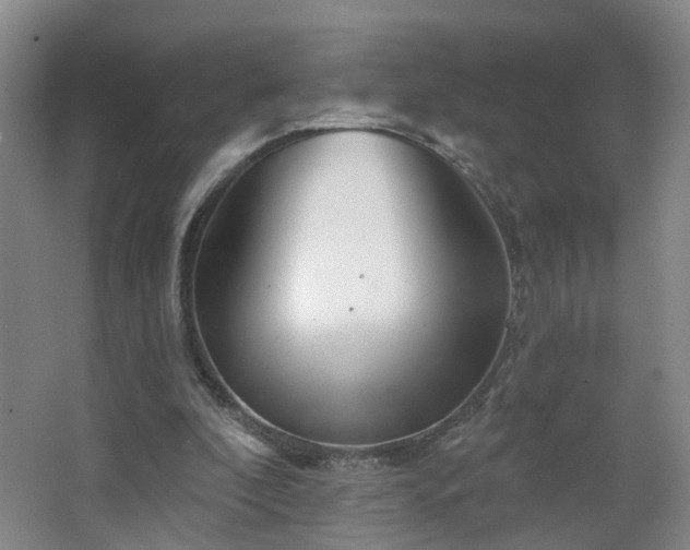 X0000064720296200602101131