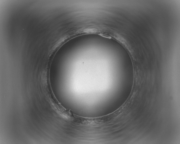 X0000064720297200602101131