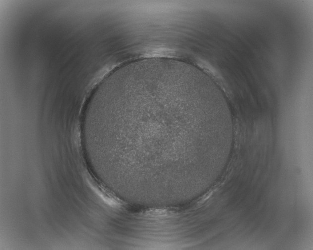 X0000064720298200602101131