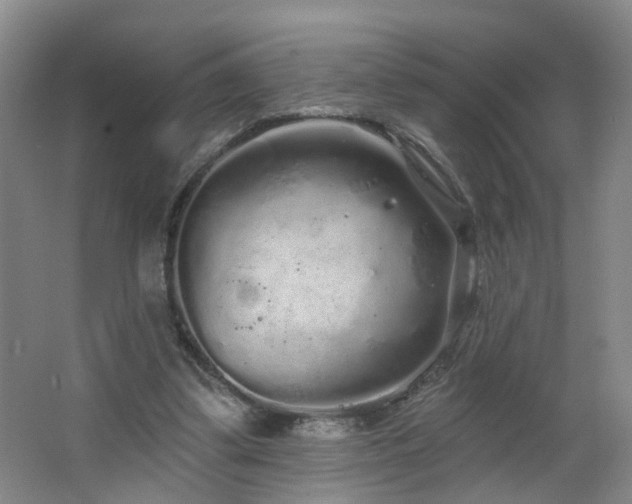 X0000064720299200602101131