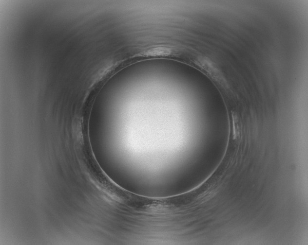 X0000064720300200602101131