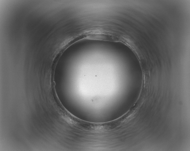 X0000064720301200602101131