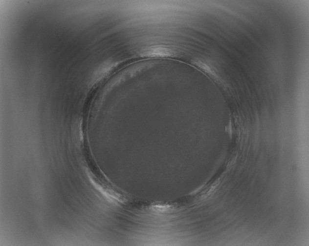 X0000064720302200602101131