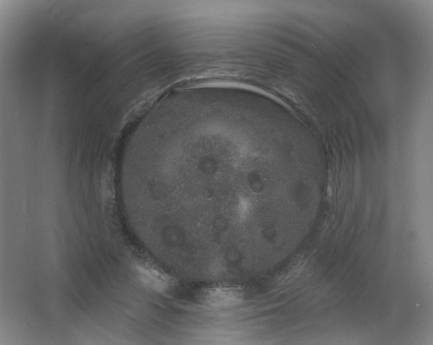 X0000064720303200602101131