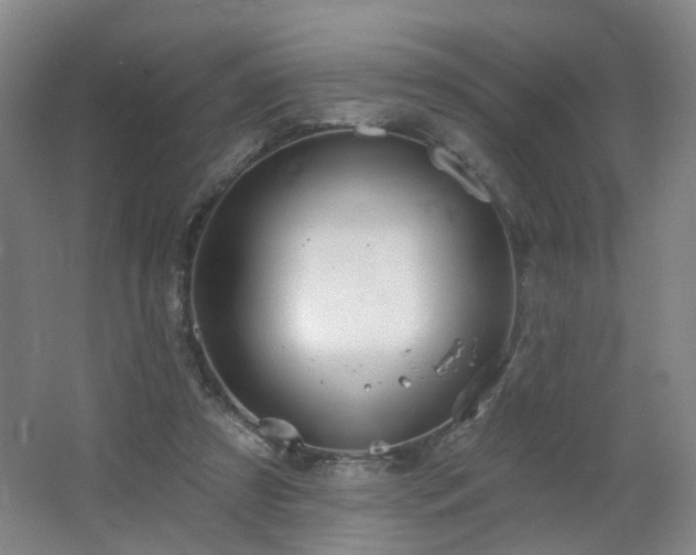 X0000064720305200602101131