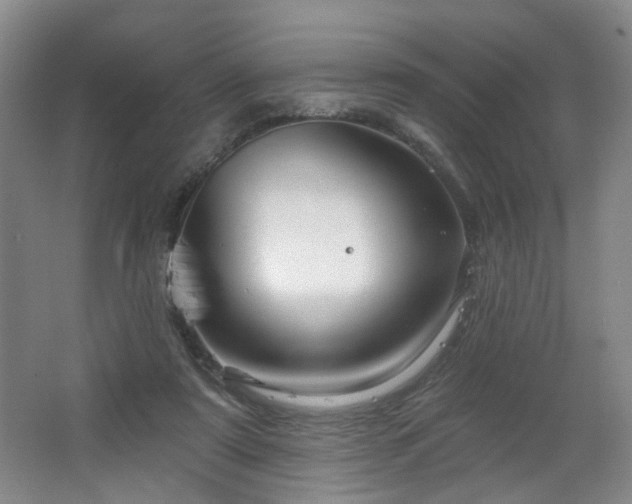 X0000064720307200602101131