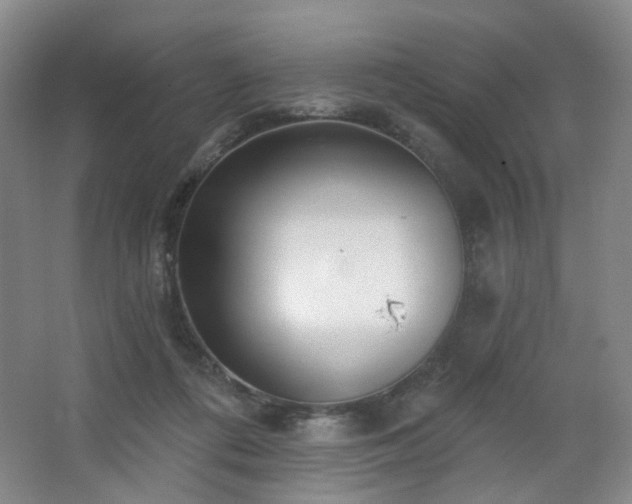 X0000064720312200602101131