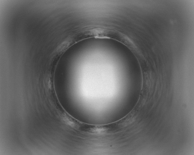 X0000064720313200602101131